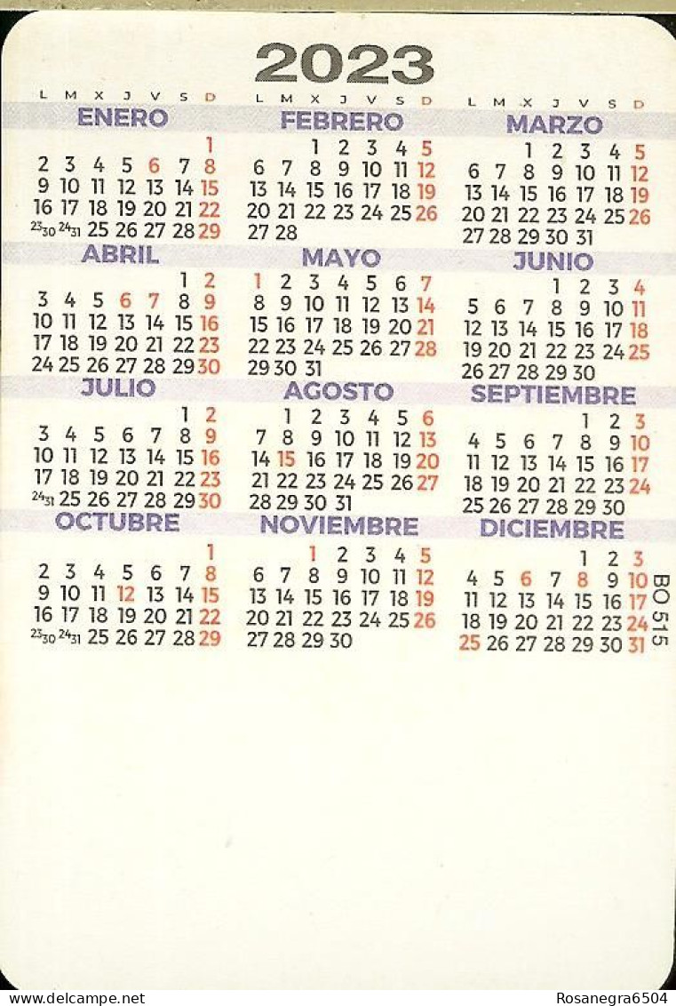 SPAIN POCKET CALENDAR - YEAR 2023 - SEXY GIRL - Kleinformat : 2001-...