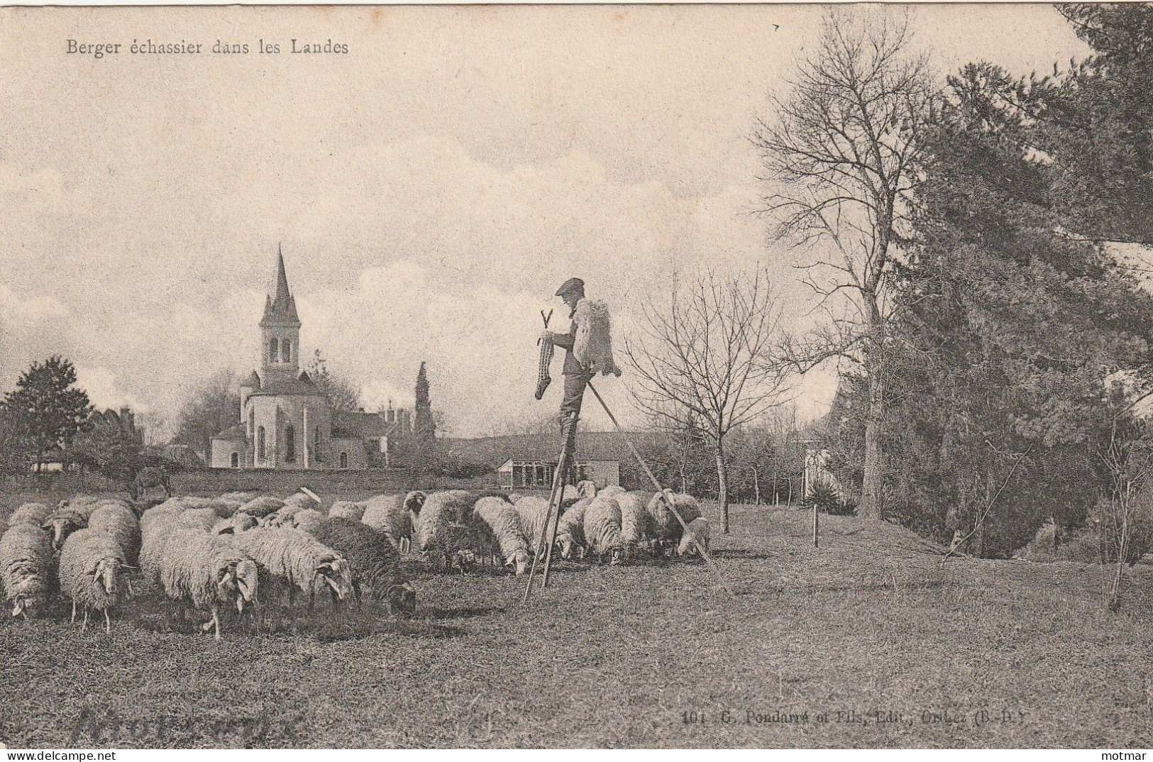 Berger échassier Dans Les Landes -avec Ses Moutons - Other & Unclassified