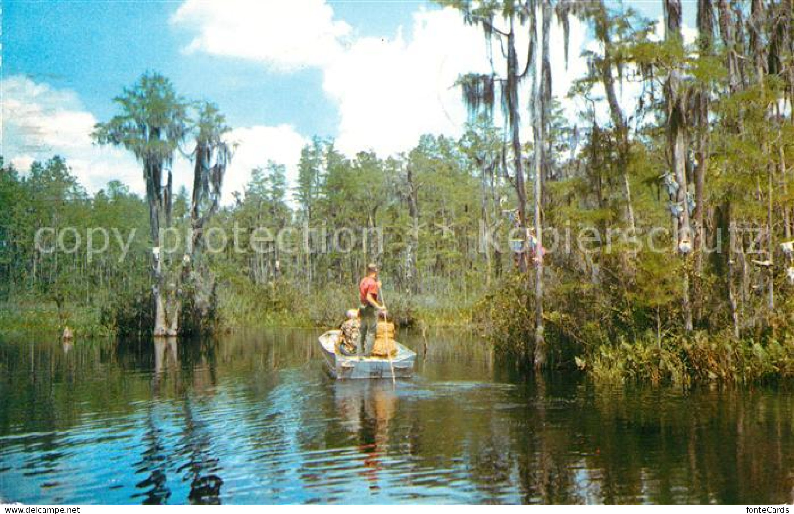 73131336 Fargo_Georgia Okefenokee Swamp - Sonstige & Ohne Zuordnung