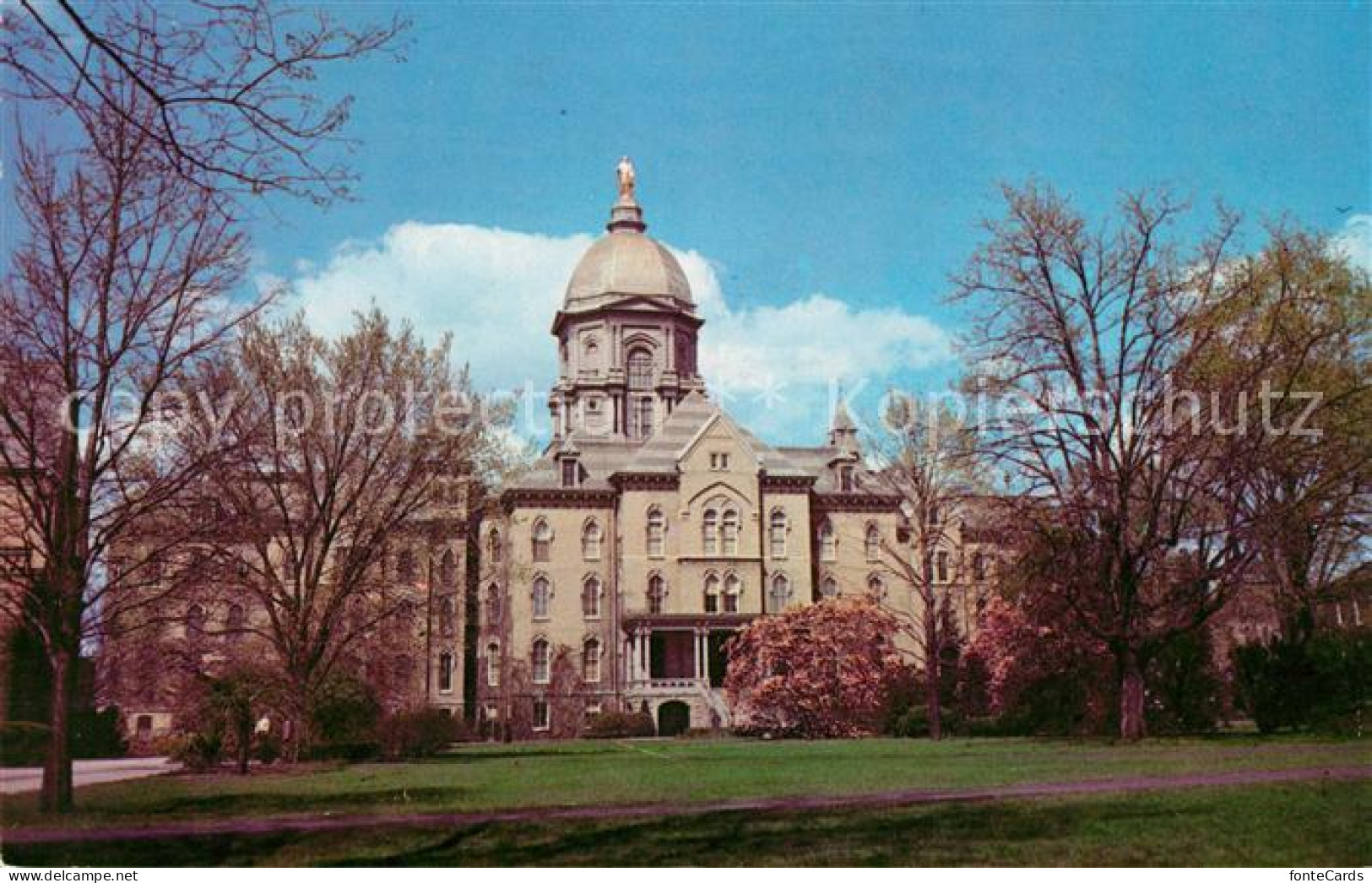 73130824 Notre_Dame_United States University Main Building Magnolias - Other & Unclassified