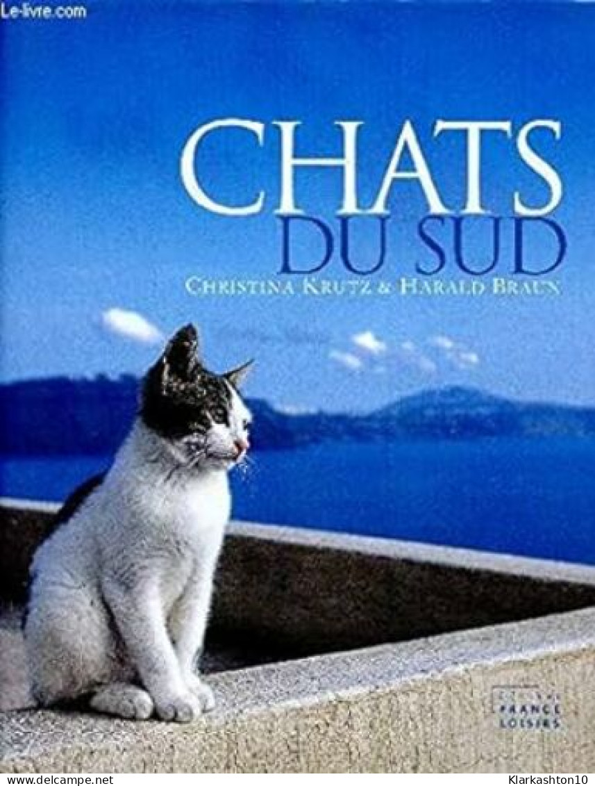 CHATS DU SUD - Other & Unclassified