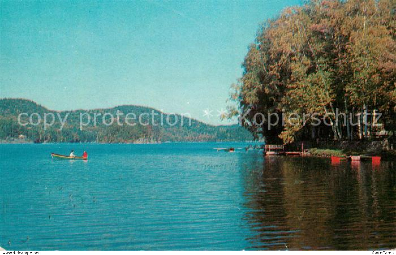 73130648 Maine_US-State Woodland  - Altri & Non Classificati