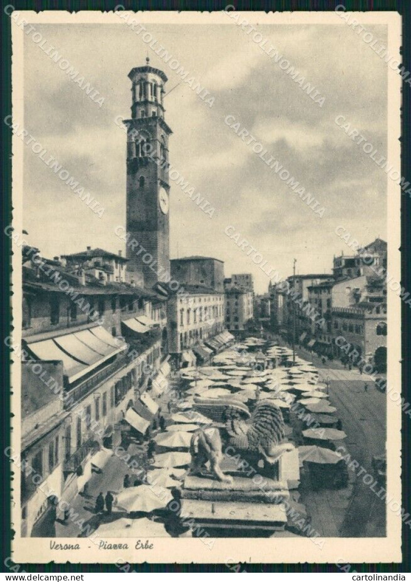 Verona Città Piazza Erbe Mercato FG Cartolina HB4736 - Verona