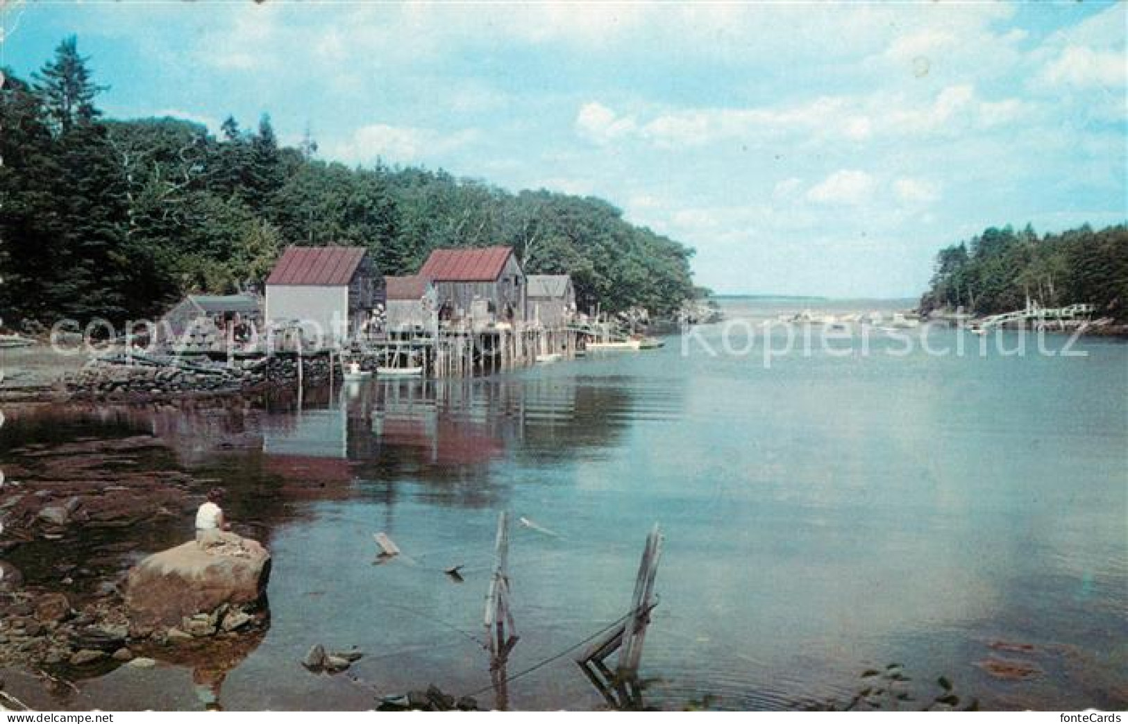 73130575 New_Harbor Back Cove - Other & Unclassified