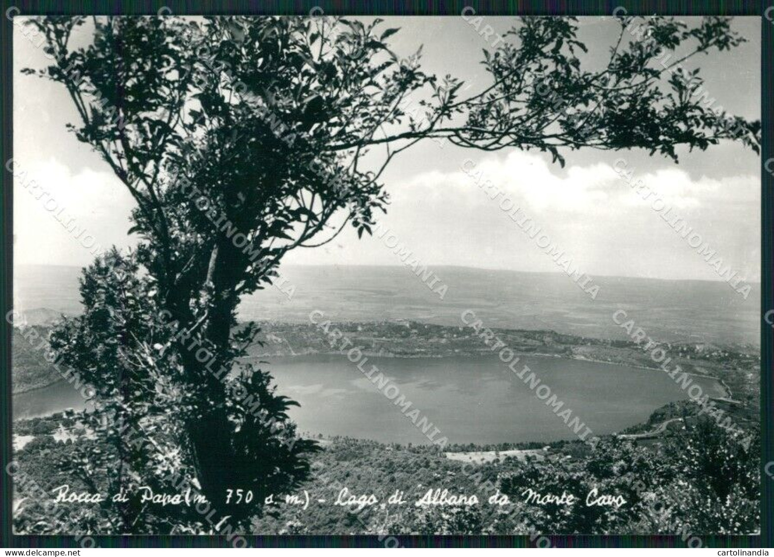 Roma Rocca Di Papa Lago Albano Monte Cavo FG Foto Cartolina HB4817 - Otros & Sin Clasificación