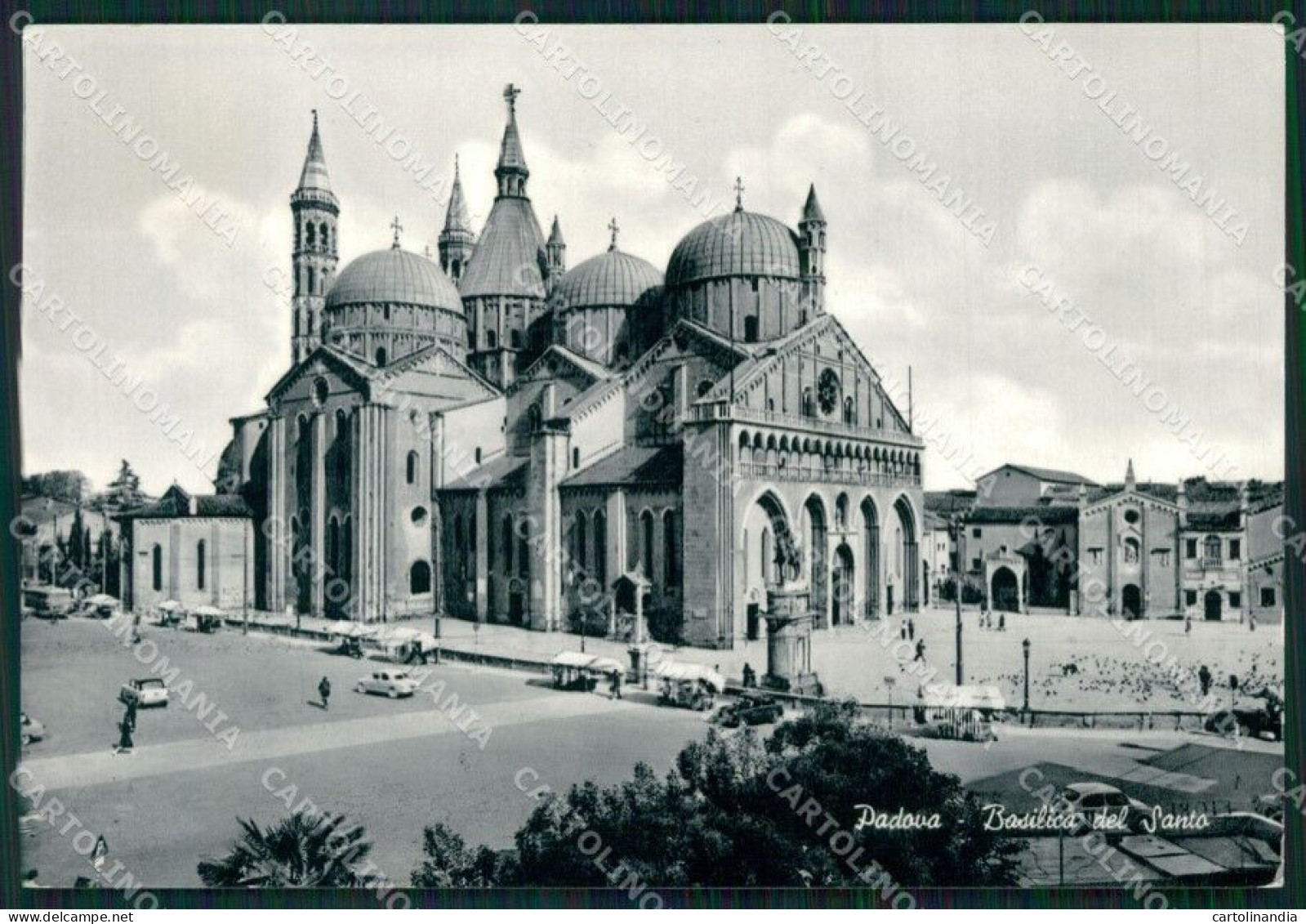 Padova Città Basilica Sant'Antonio PIEGHINA FG Foto Cartolina HB4827 - Padova