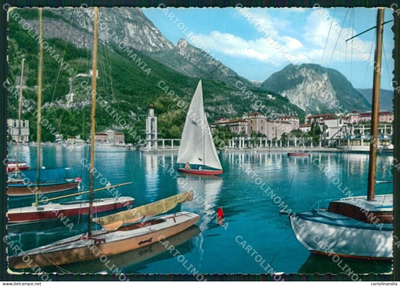 Trento Riva Del Garda Lago Di Barche FG Foto Cartolina HB4851 - Trento