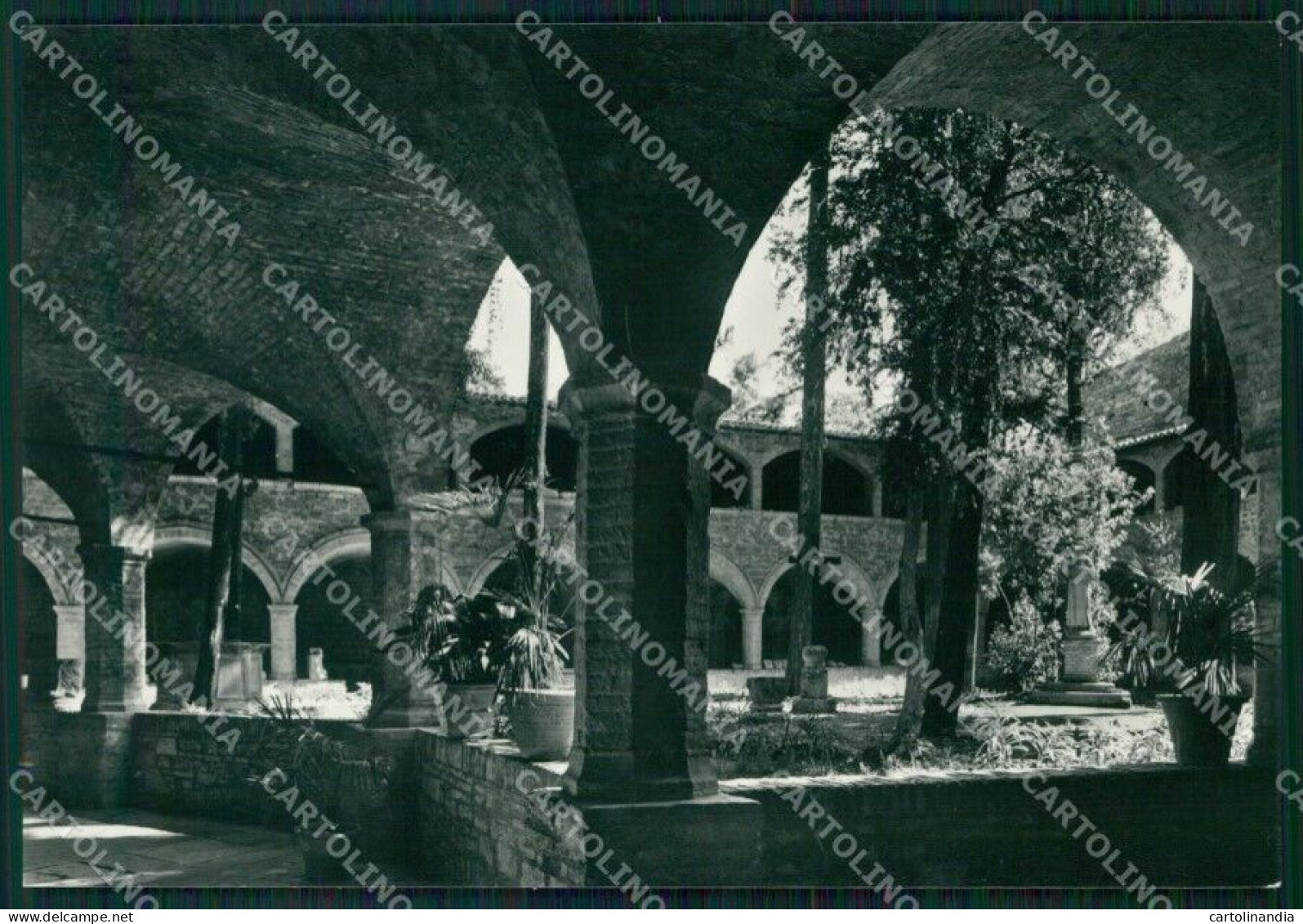 Perugia Assisi FG Foto Cartolina HB4871 - Perugia