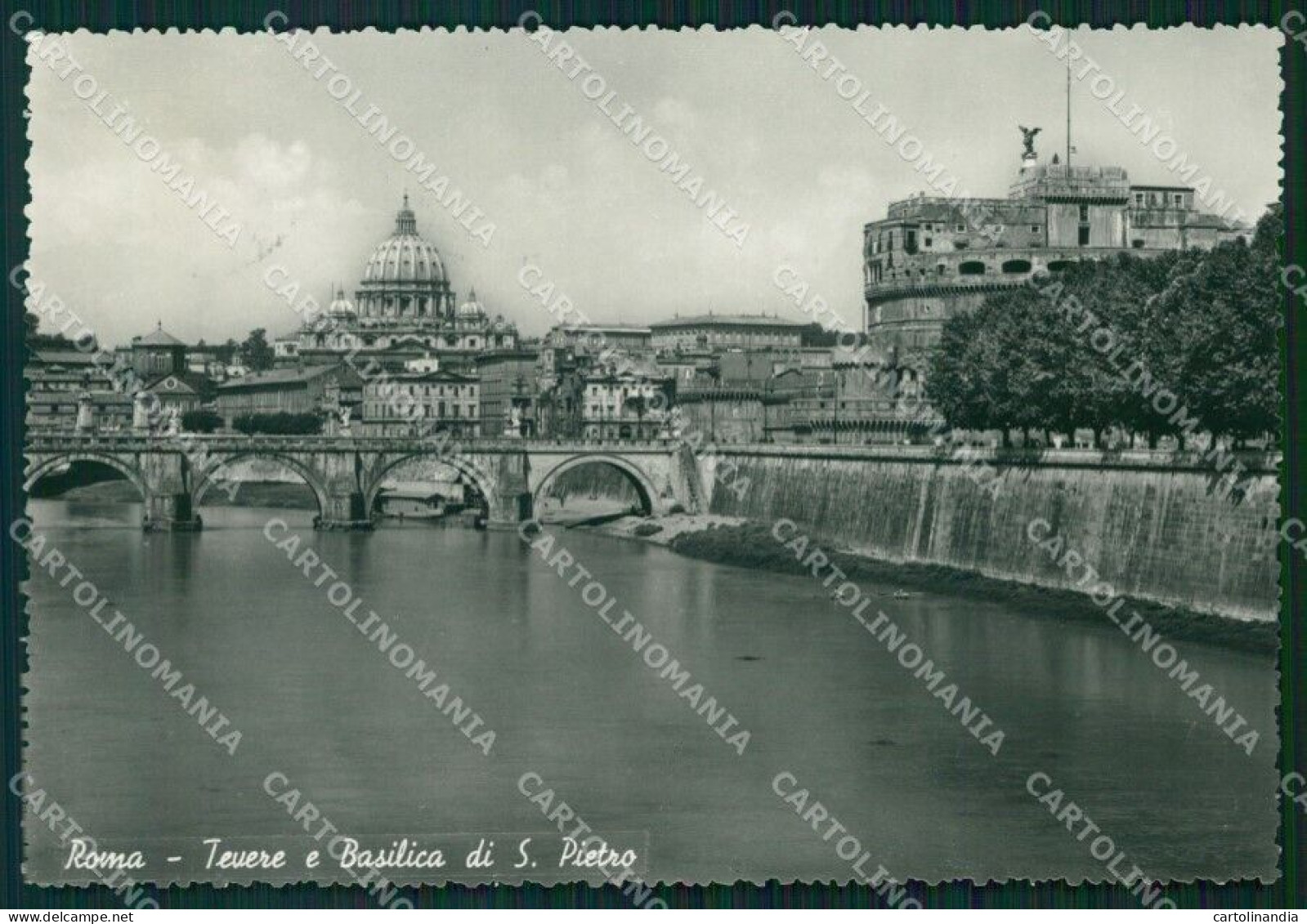 Roma Città Tevere Basilica San Pietro FG Foto Cartolina HB4904 - Altri & Non Classificati