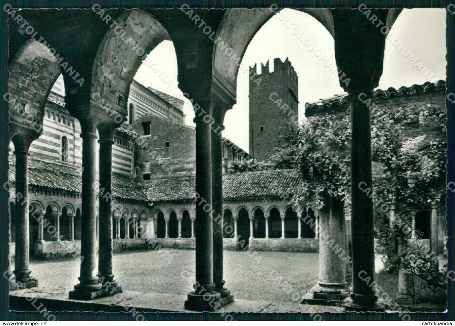 Verona Città Basilica San Zeno COLLA FG Foto Cartolina HB4930 - Verona