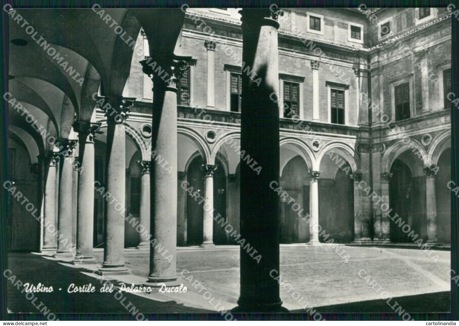 Pesaro Urbino Palazzo Ducale FG Foto Cartolina HB4876 - Pesaro