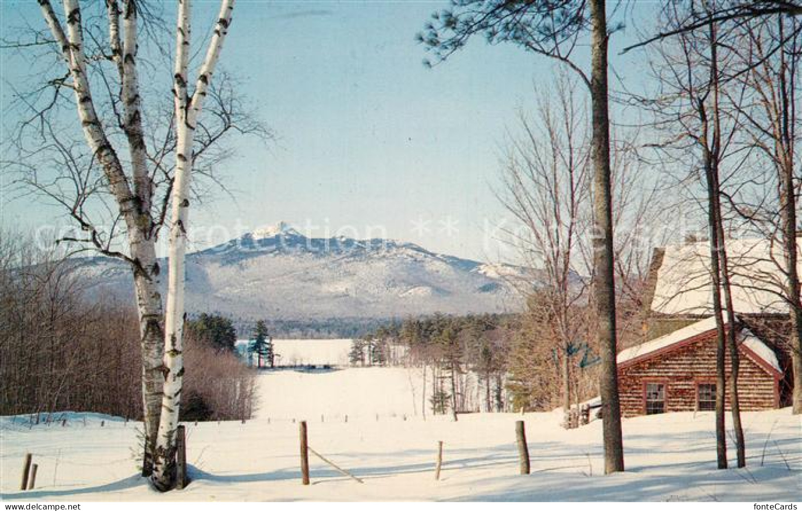 73130481 New_Hampshire_US-State Mount Chocorua Winterpanorama - Andere & Zonder Classificatie