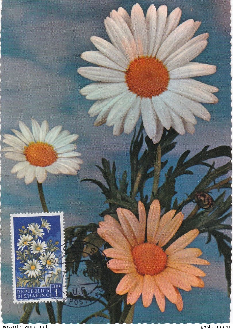 Carte Maximum San Marin Marino Fleur Flower - FDC