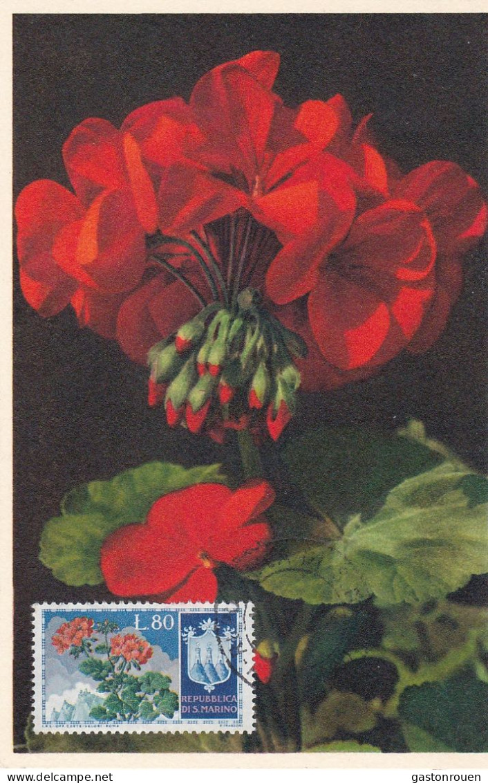 Carte Maximum San Marin Marino Fleur Flower - FDC