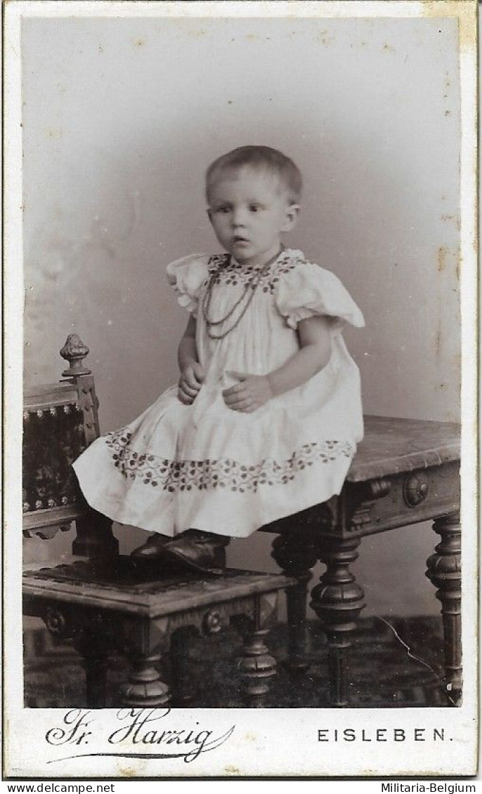 Carte De Visite - Eisleben - Old (before 1900)