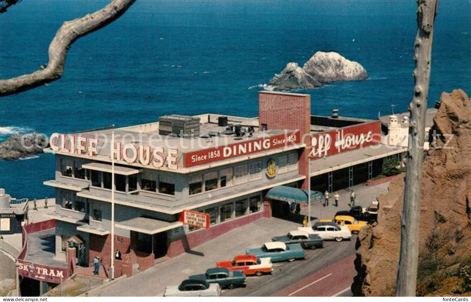 73277591 San_Francisco_California Cliff House And Seal Rochs - Autres & Non Classés