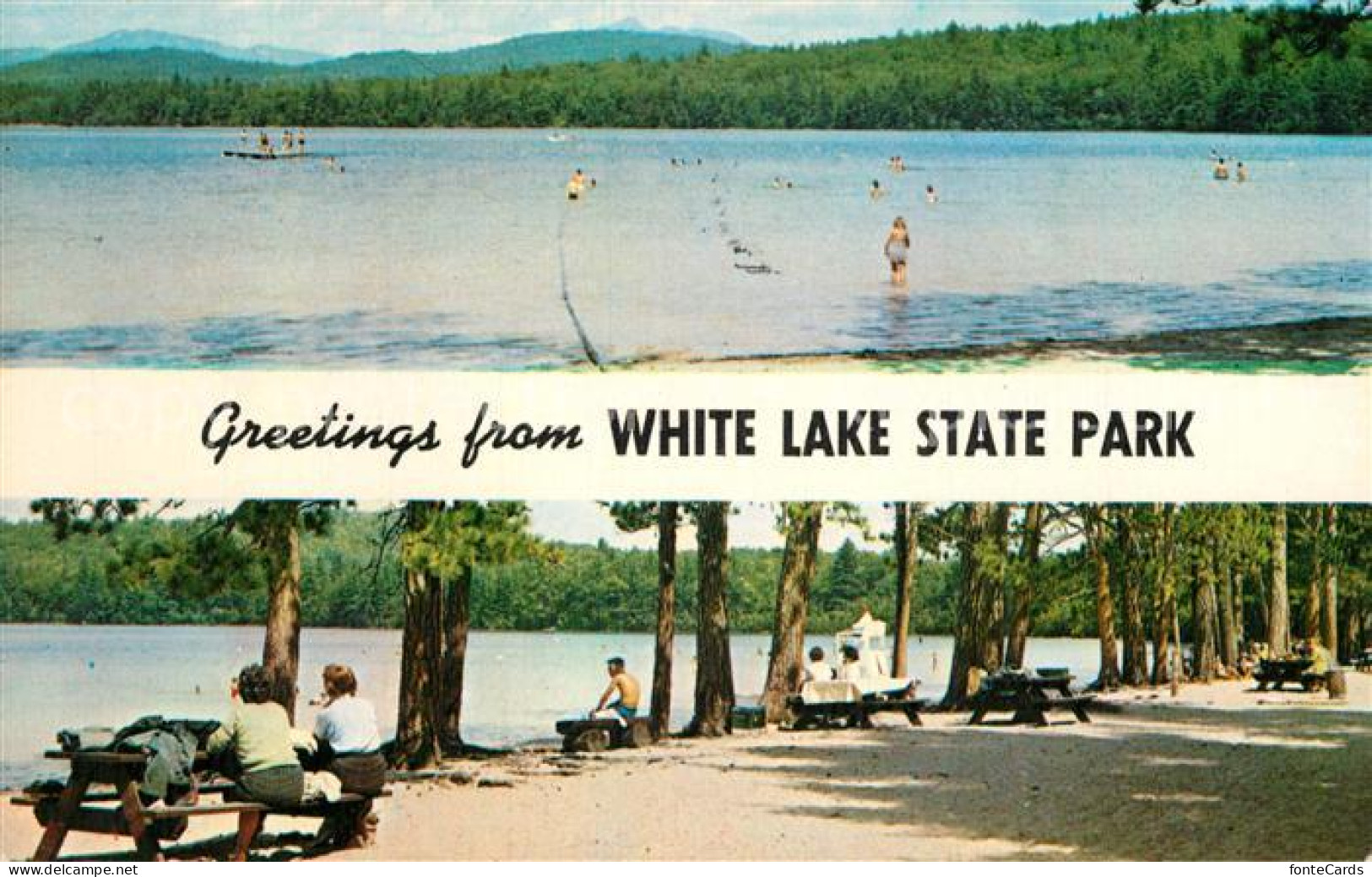 73261616 Tamworth_New_Hampshire White Lake State Park
 - Sonstige & Ohne Zuordnung