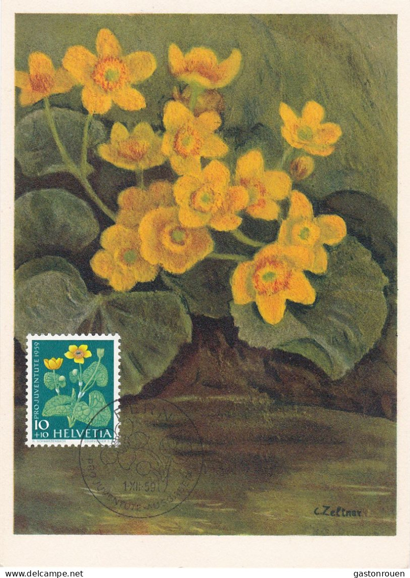 Carte Maximum Suisse Helvetia 1959 Pro Juventute Fleur Flower - Maximumkaarten