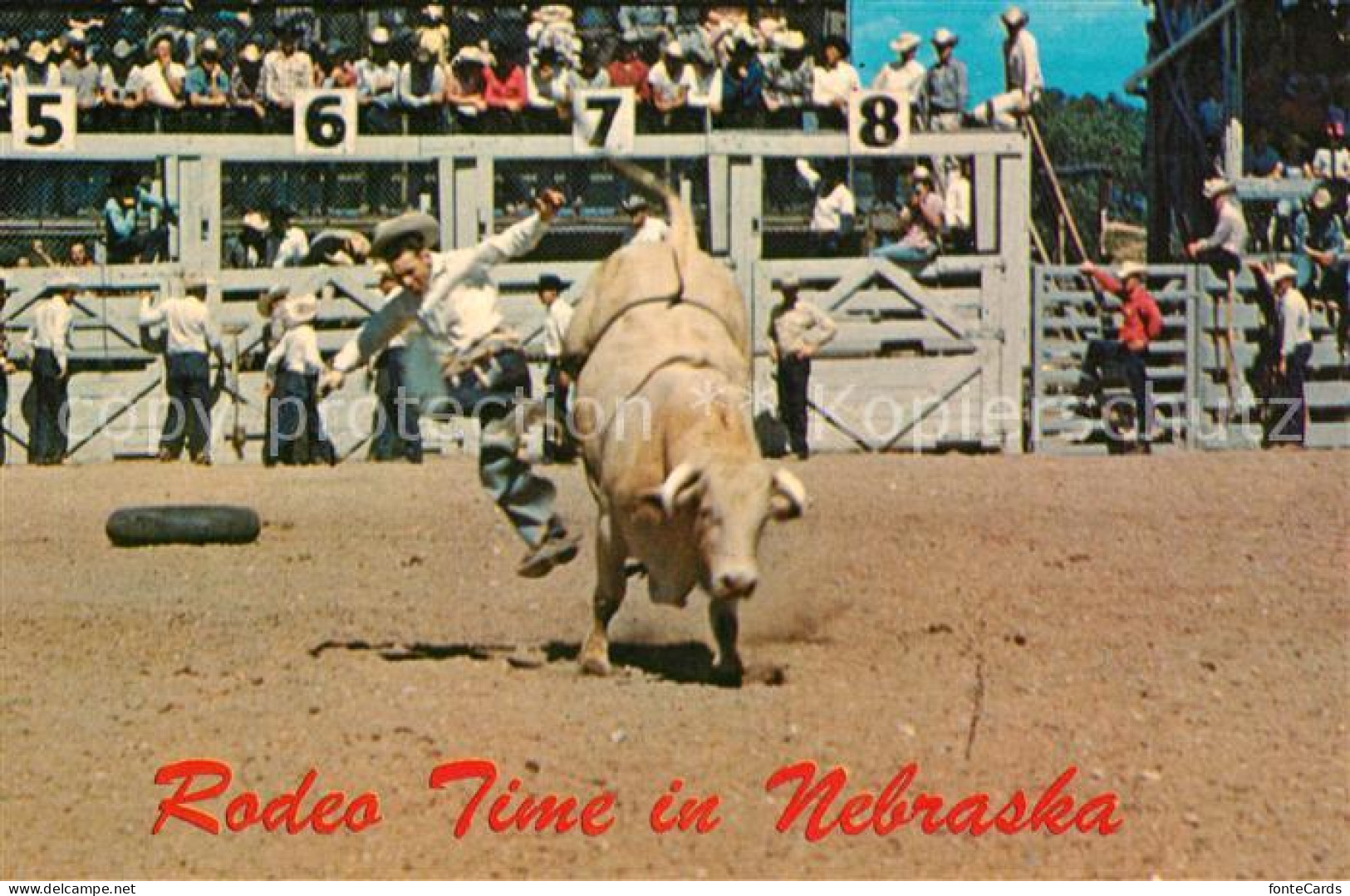 73243357 Nebraska_US-State Rodeo Time - Andere & Zonder Classificatie