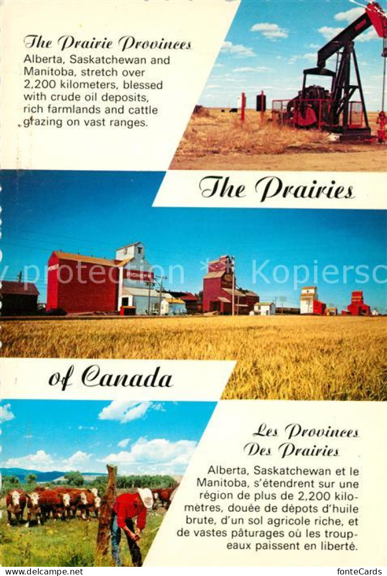 73231584 Alberta  Prairie Provinces Saskatchewan Manitoba  Alberta  - Non Classés