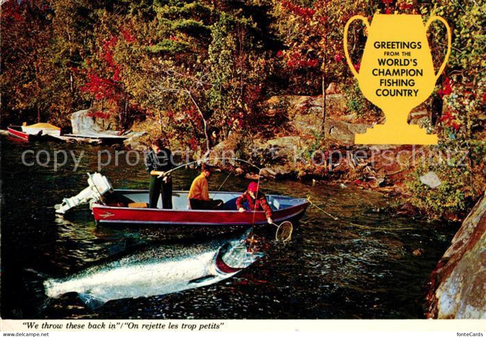 73224943 Canada State World S Champion Fishing Country Canada State - Non Classés