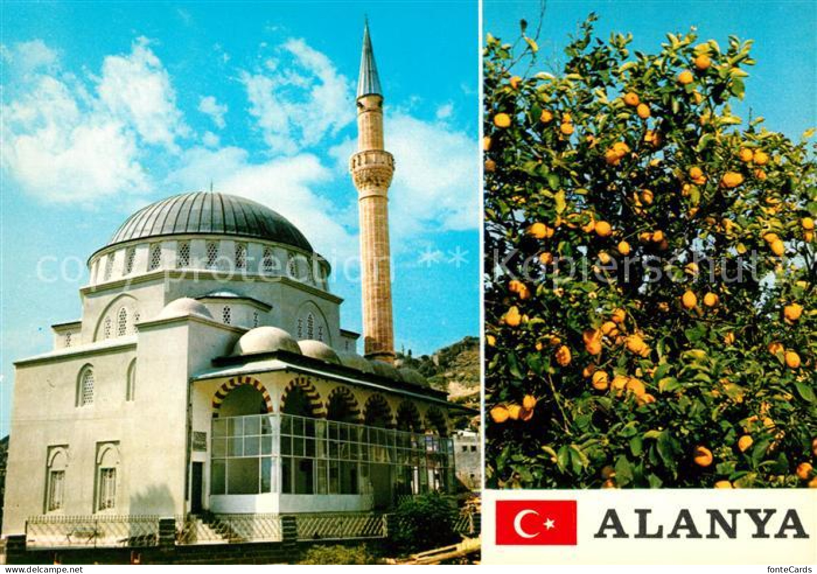 73152206 Alanya Moschee Zitronenbaum Alanya - Turchia