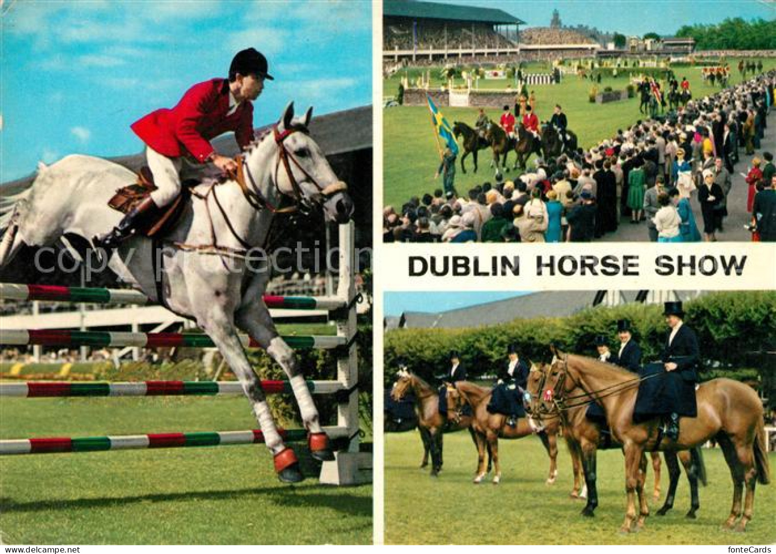 73149056 Dublin Ireland Horse Show Reitturnier Dublin Ireland - Altri & Non Classificati