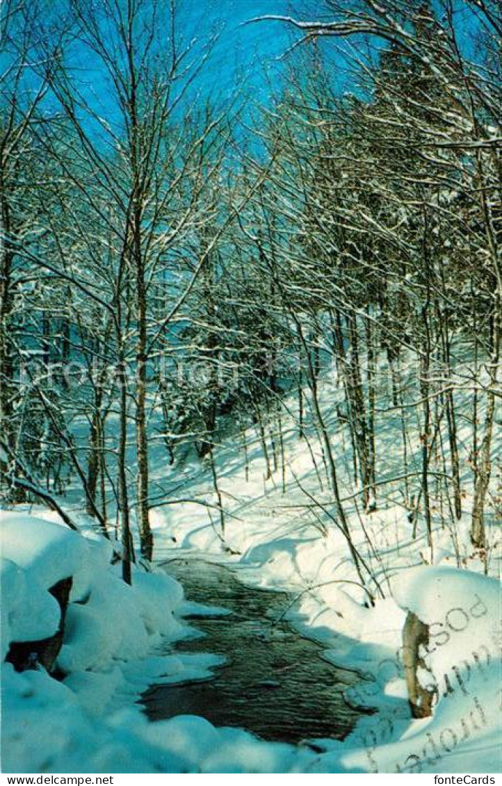 73132865 Janetville Landschaftspanorama Im Winter Bachlauf Janetville - Non Classificati