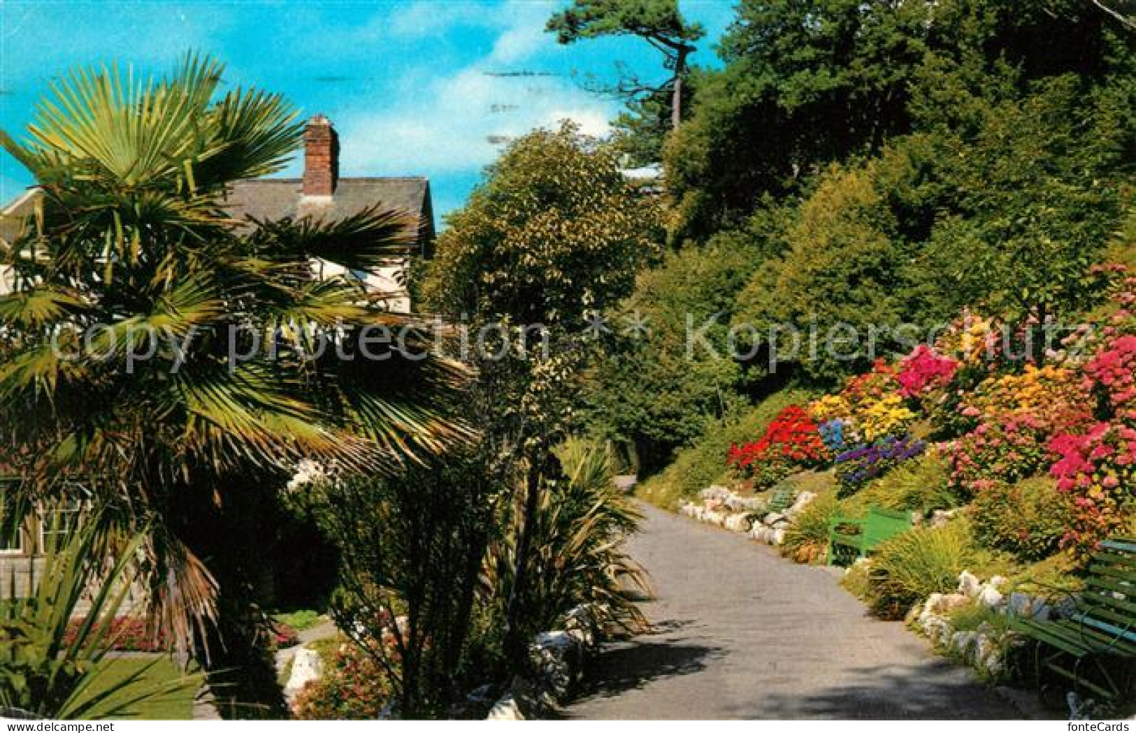 73131740 Exmouth Town Madeira Walk Palmtrees Flowers Exmouth Town - Sonstige & Ohne Zuordnung