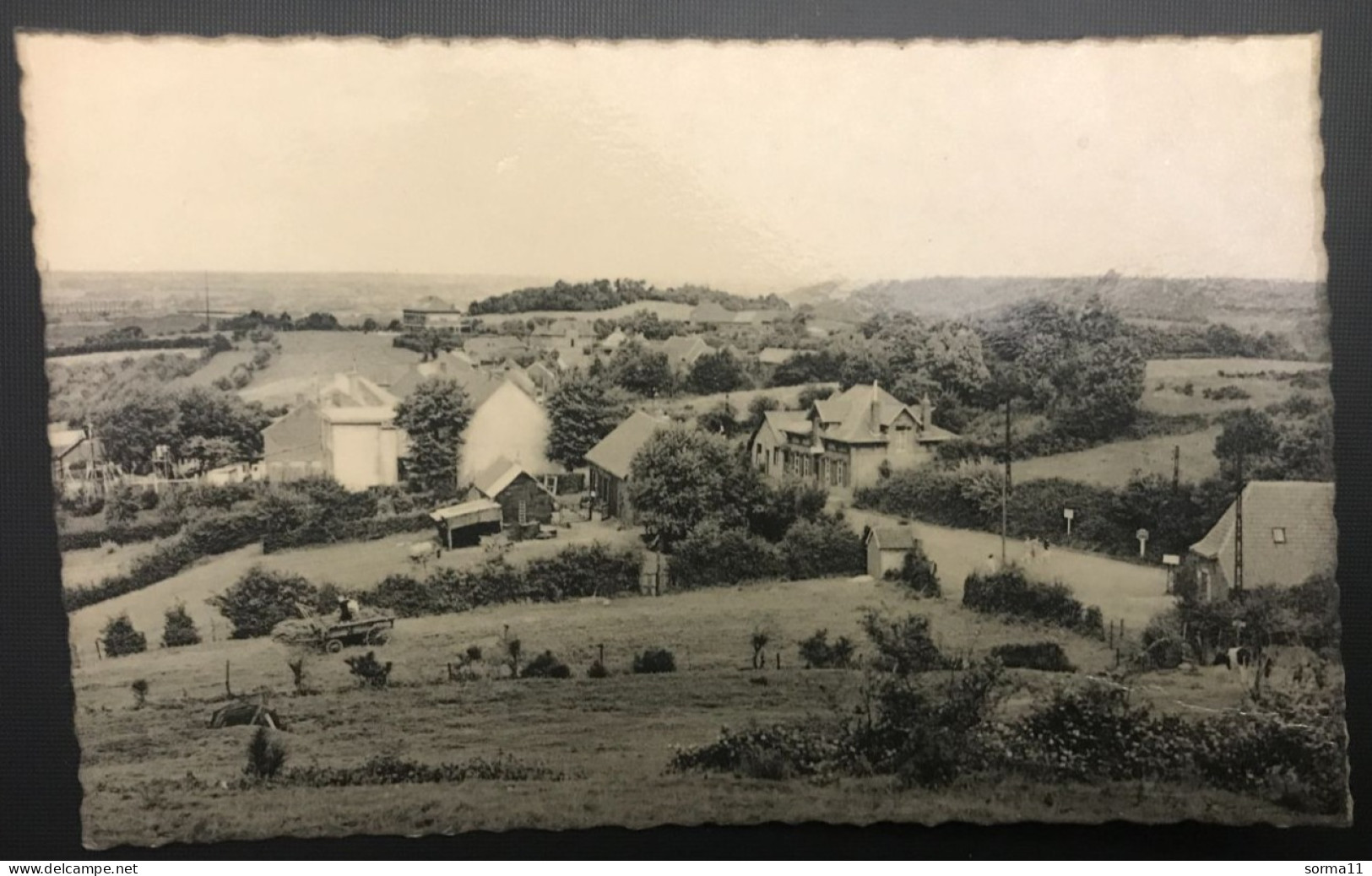 CPSM ZWARTENBERT (Belgique) Grens, Mont Noir, Frontière - Heuvelland