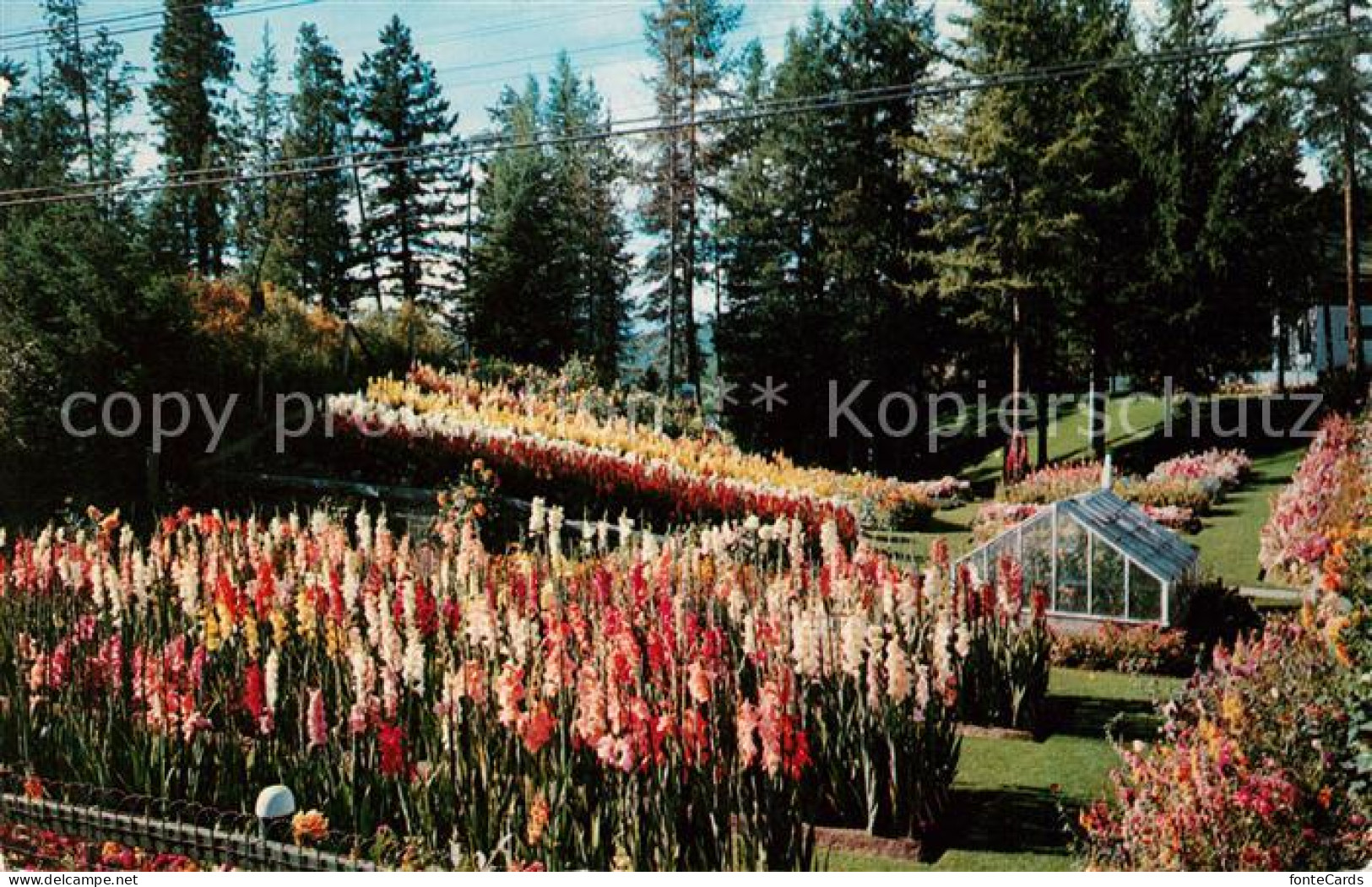 73131685 British Columbia Kimerley Cominco Garden British Columbia - Non Classificati