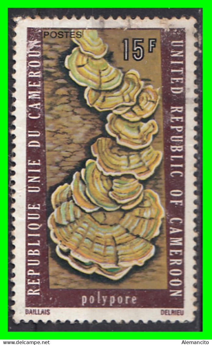 CAMERUN (  AFRIKA )  SELLO TEMATICA FAUNA - Cameroun (1960-...)