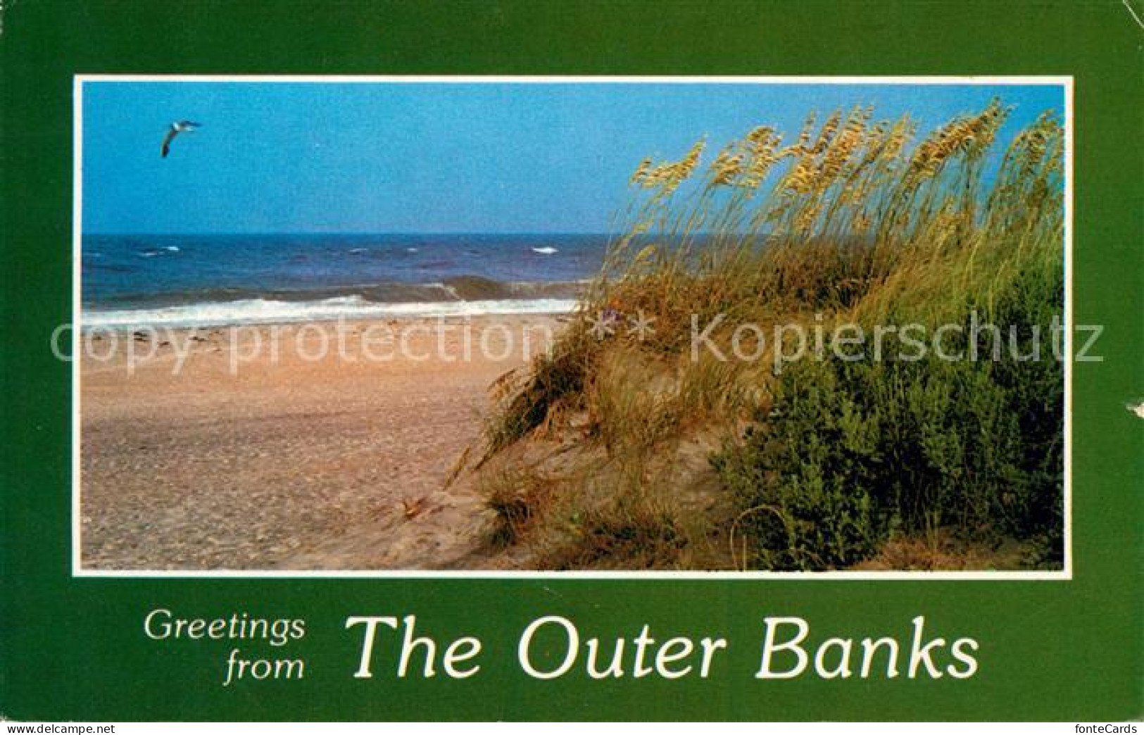 73131621 Elizabeth_City Outer Banks - Other & Unclassified