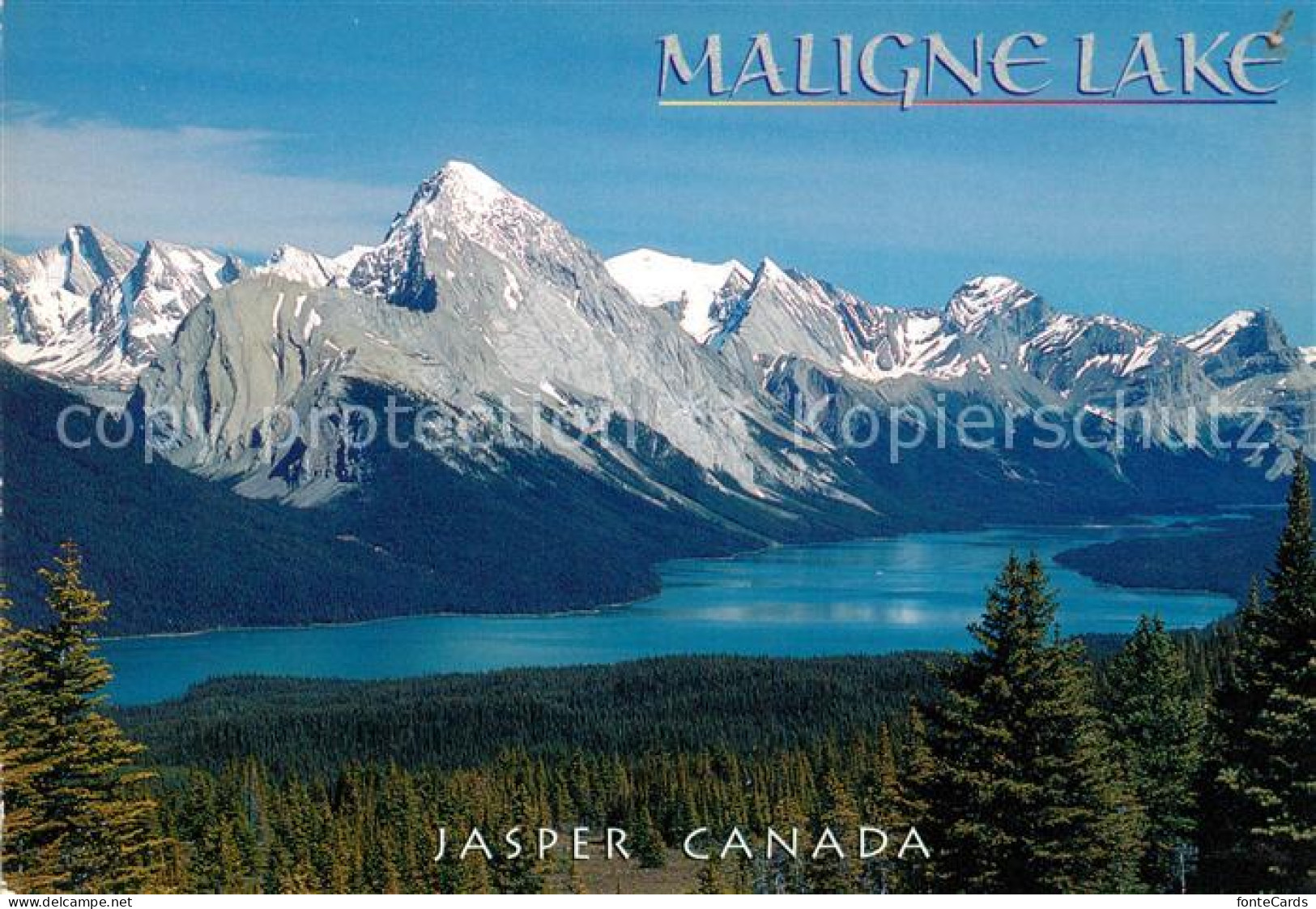 73128598 Alberta  Maligne Lake From The Bald Hills Jasper National Park Alberta  - Unclassified