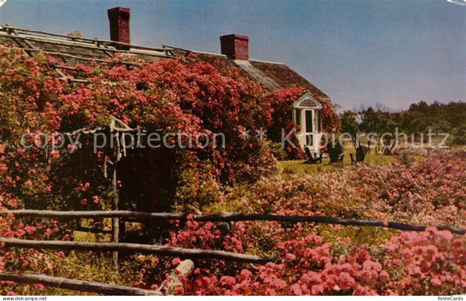 73127968 Chatham_Massachusetts Famous Rose Cottage - Sonstige & Ohne Zuordnung