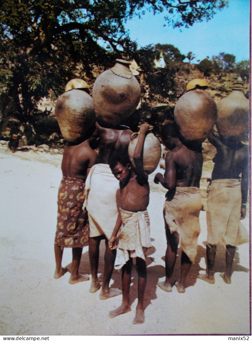 CAMEROUN - MOKOLO - Dure Corvée De L'eau. - Cameroun