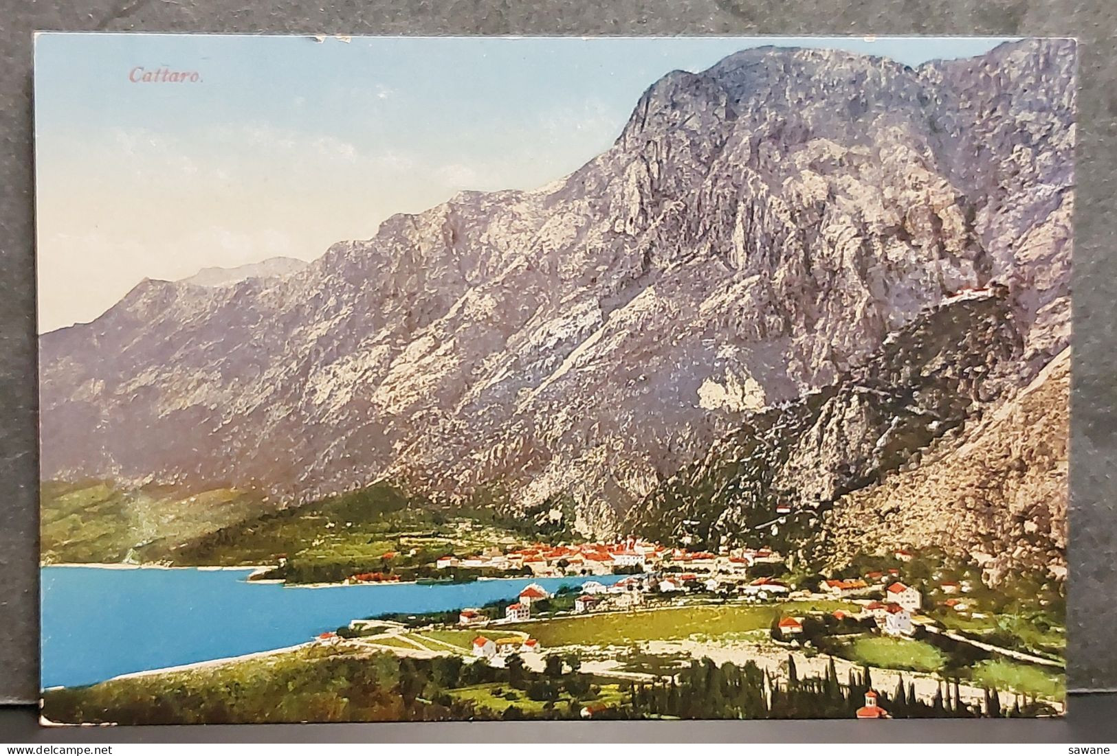 MONTENEGRO , CATTARO , LOT 315 - Montenegro