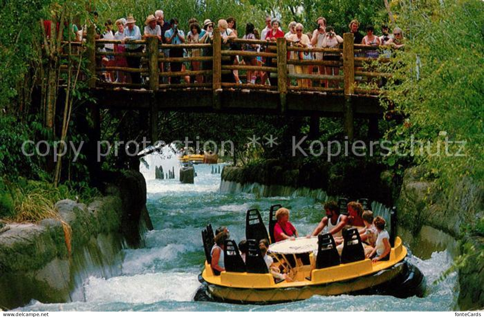 73127760 Tampa_Florida Congo River Rapids - Otros & Sin Clasificación