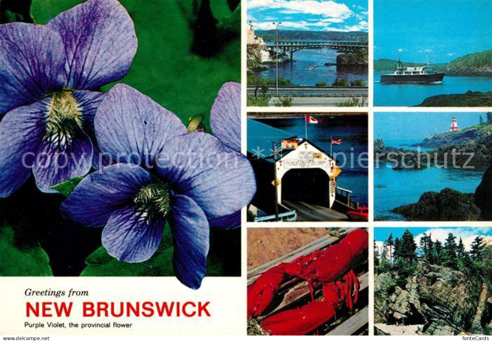 73126556 New Brunswick Nouveau Brunswick --- New Brunswick - Zonder Classificatie