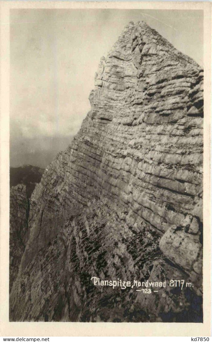 Gesäuse/Steiermark - Gesäuse, Planspitze Nordwand - Gesäuse