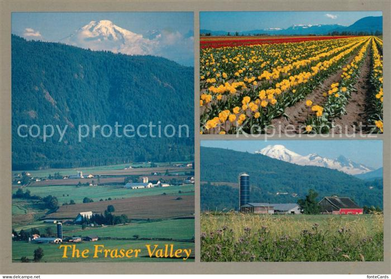 73126549 Abbotsford British Columbia Panorama Farmland Of Fraser Valley Abbotsfo - Zonder Classificatie