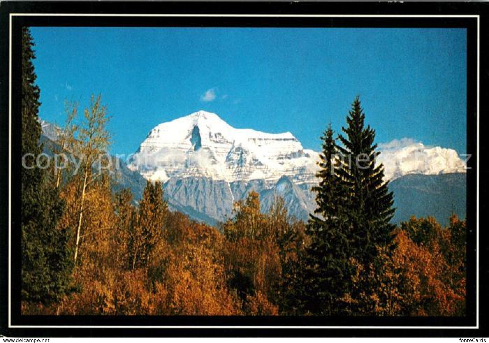 73126542 Mount Robson Automn Colours Canadian Rockies Mount Robson - Non Classés