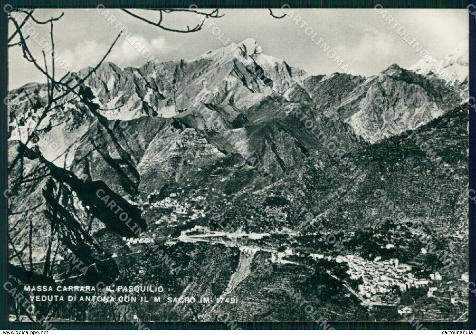 Massa Carrara Antona Il Pasquilio Monte Sacro FG Foto Cartolina HB4997 - Massa