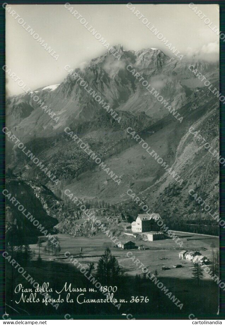 Torino Pian Della Mussa Ciamarella PIEGHINA FG Foto Cartolina HB5032 - Sonstige & Ohne Zuordnung