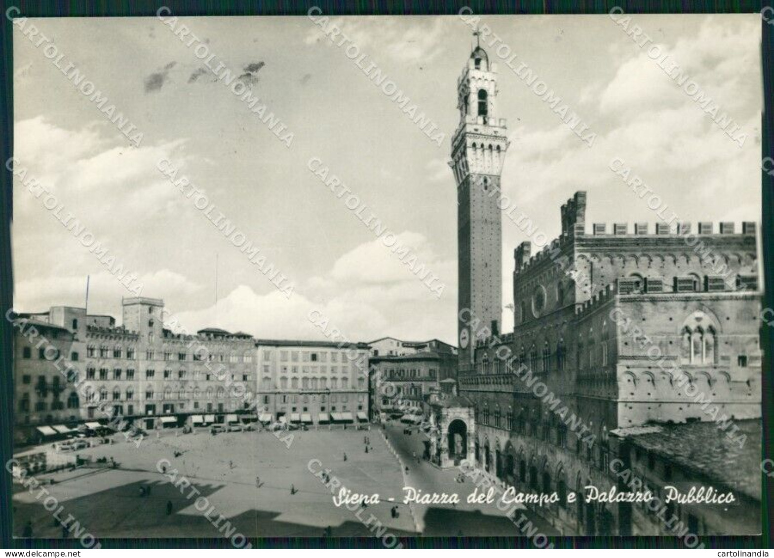 Siena Città Piazza Del Campo FG Foto Cartolina HB5017 - Siena