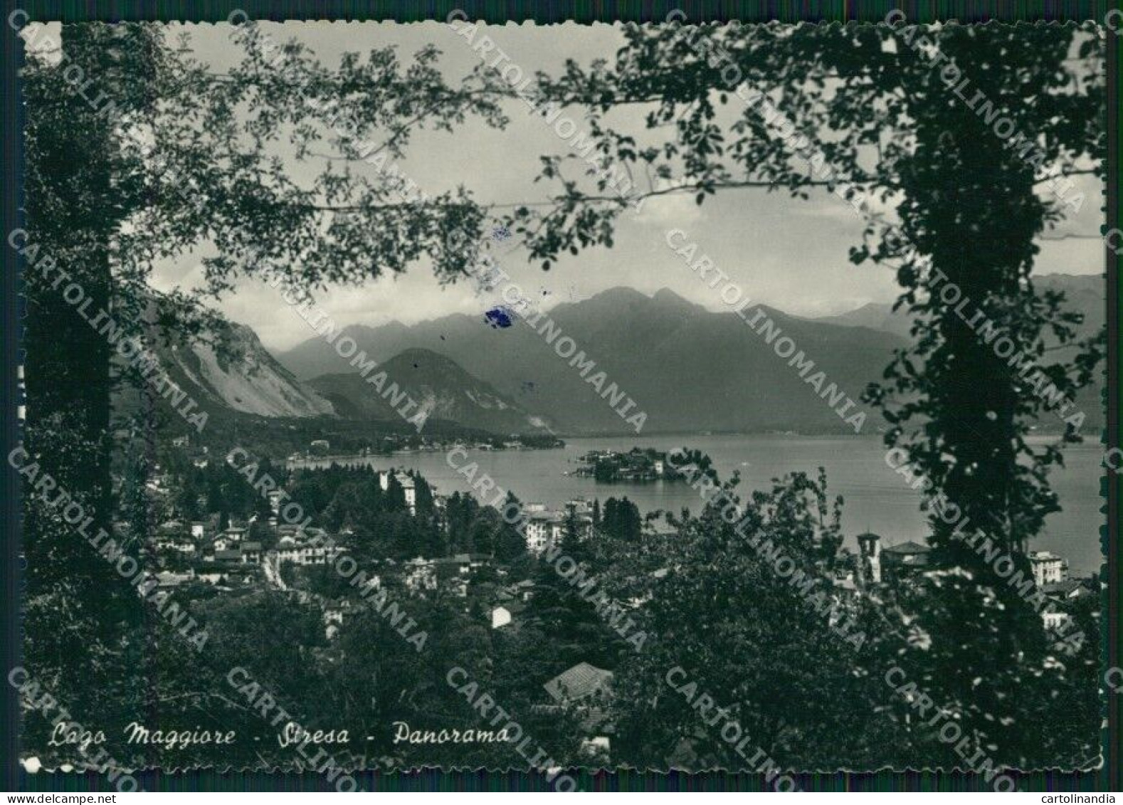 Verbania Stresa Lago Maggiore FG Foto Cartolina HB5004 - Verbania