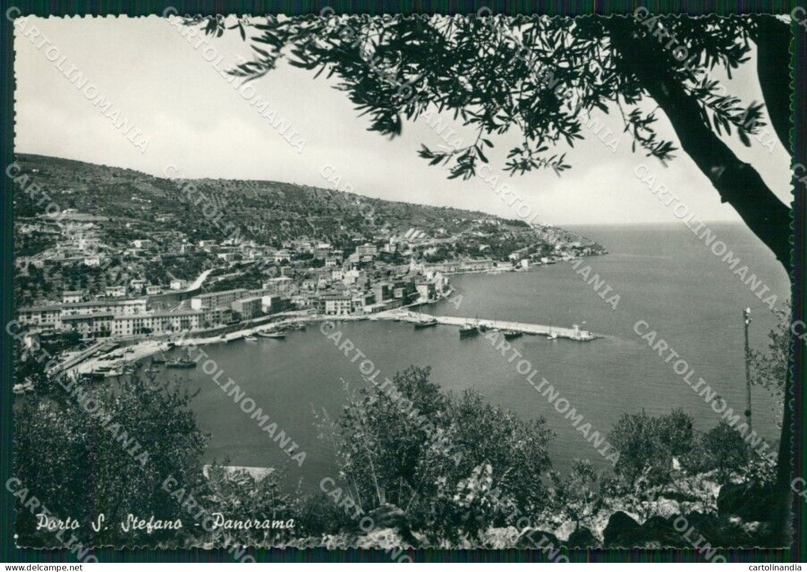 Grosseto Porto Santo Stefano FG Foto Cartolina HB5000 - Grosseto