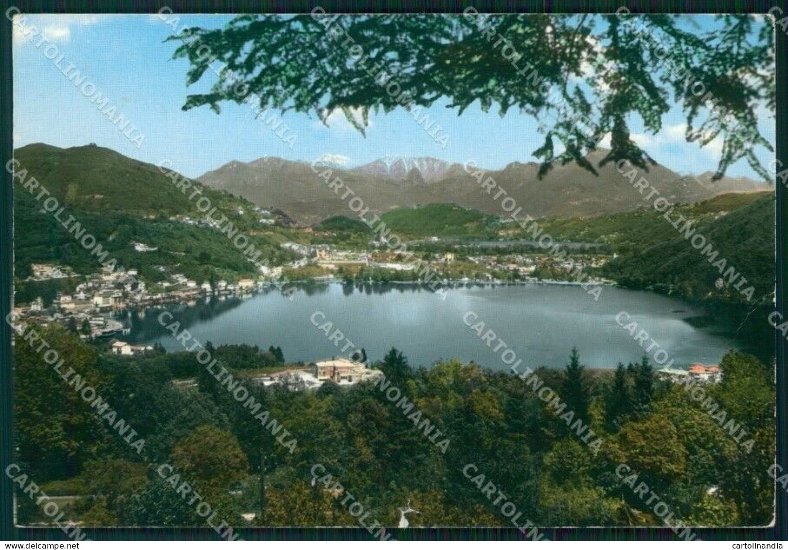 Svizzera Ponte Tresa Lago Di Lugano STRAPPINO PIEGA FG Foto Cartolina HB4975 - Sondrio