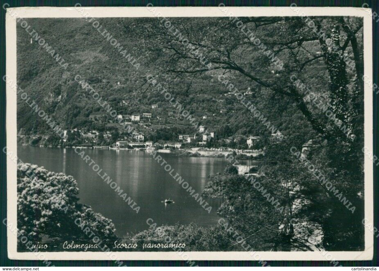 Varese Luino Colmegna Lago Maggiore FG Foto Cartolina HB4980 - Varese