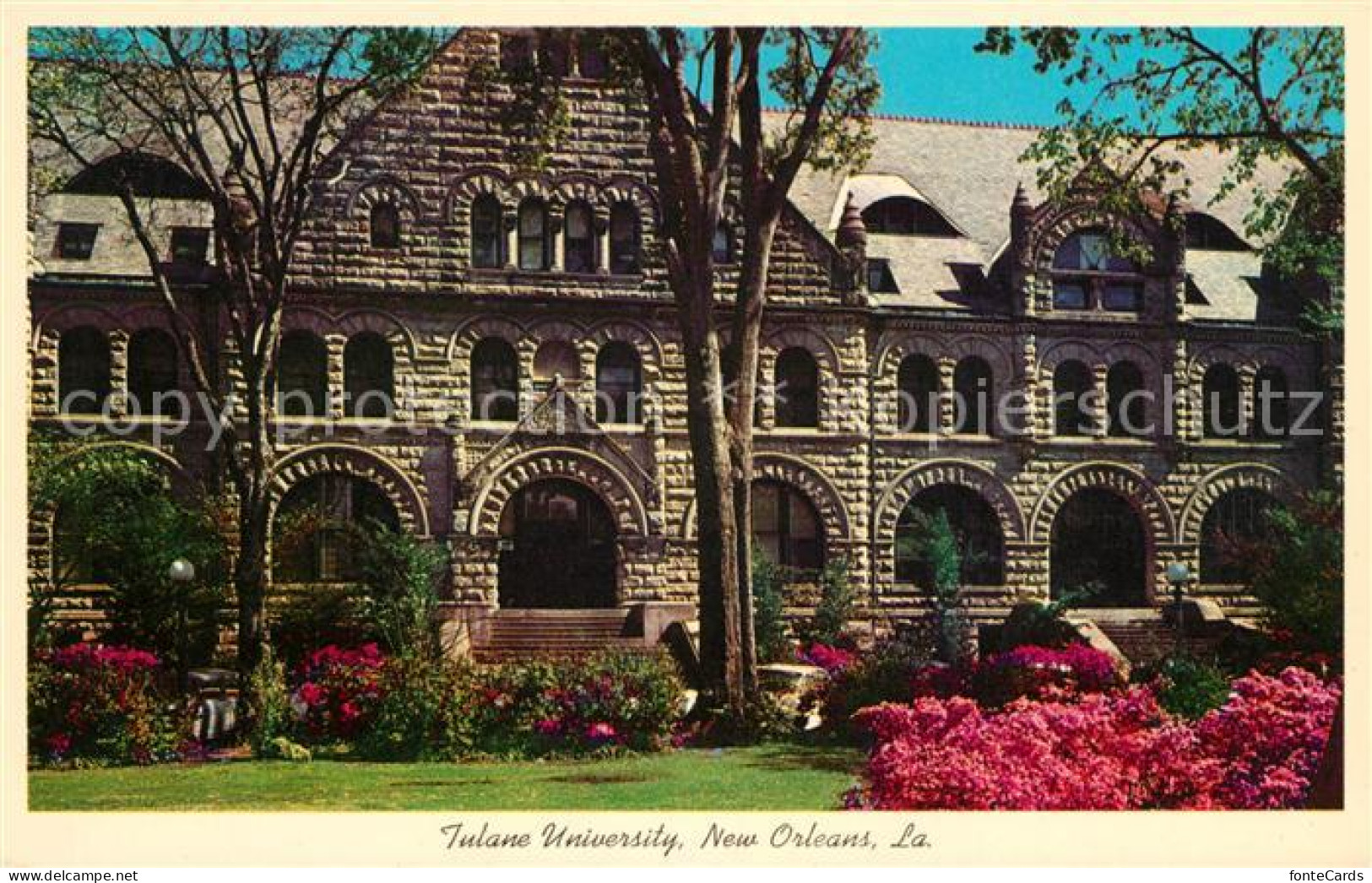 73123629 New_Orleans_Louisiana Tulane University - Andere & Zonder Classificatie